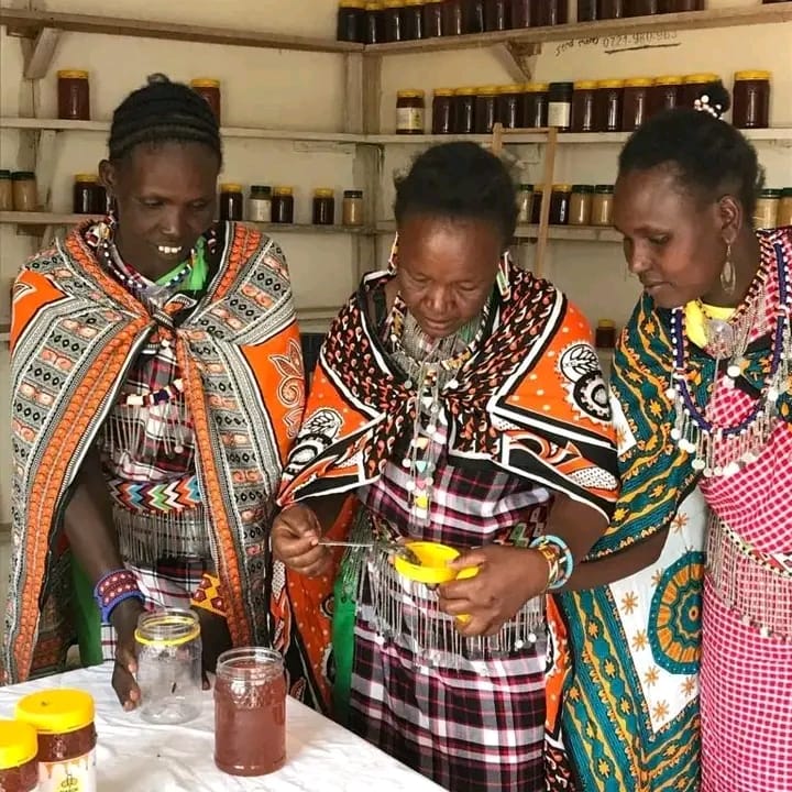 Women Empowerment Through Sustainable Beekeeping Practices